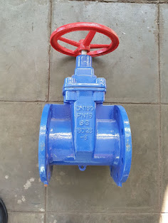 Blue industrial gate valve