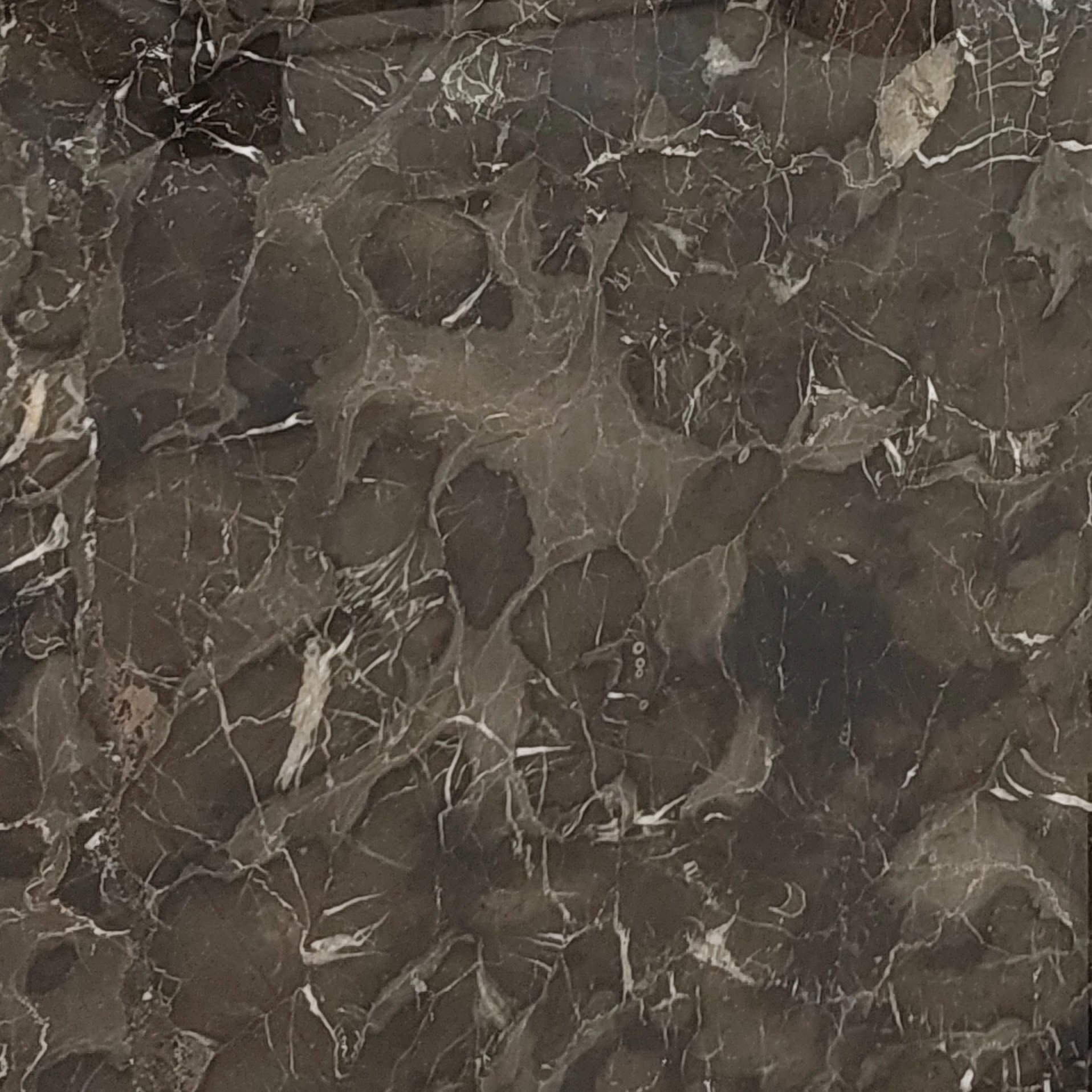 Versale Brown brown marble slab