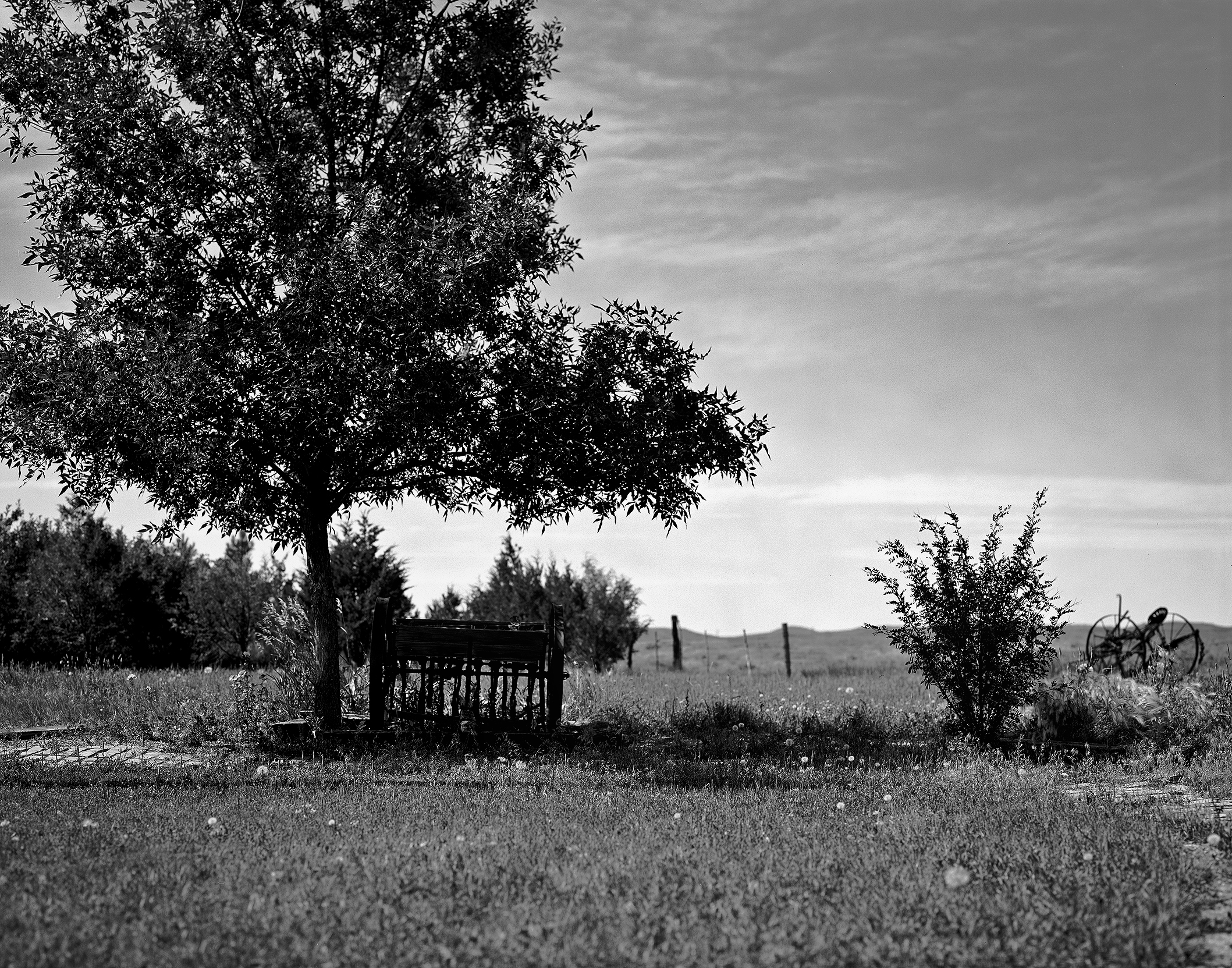 Weathered wooden bench under shade tree in rural prairie setting with antique farm wheel and rolling hills