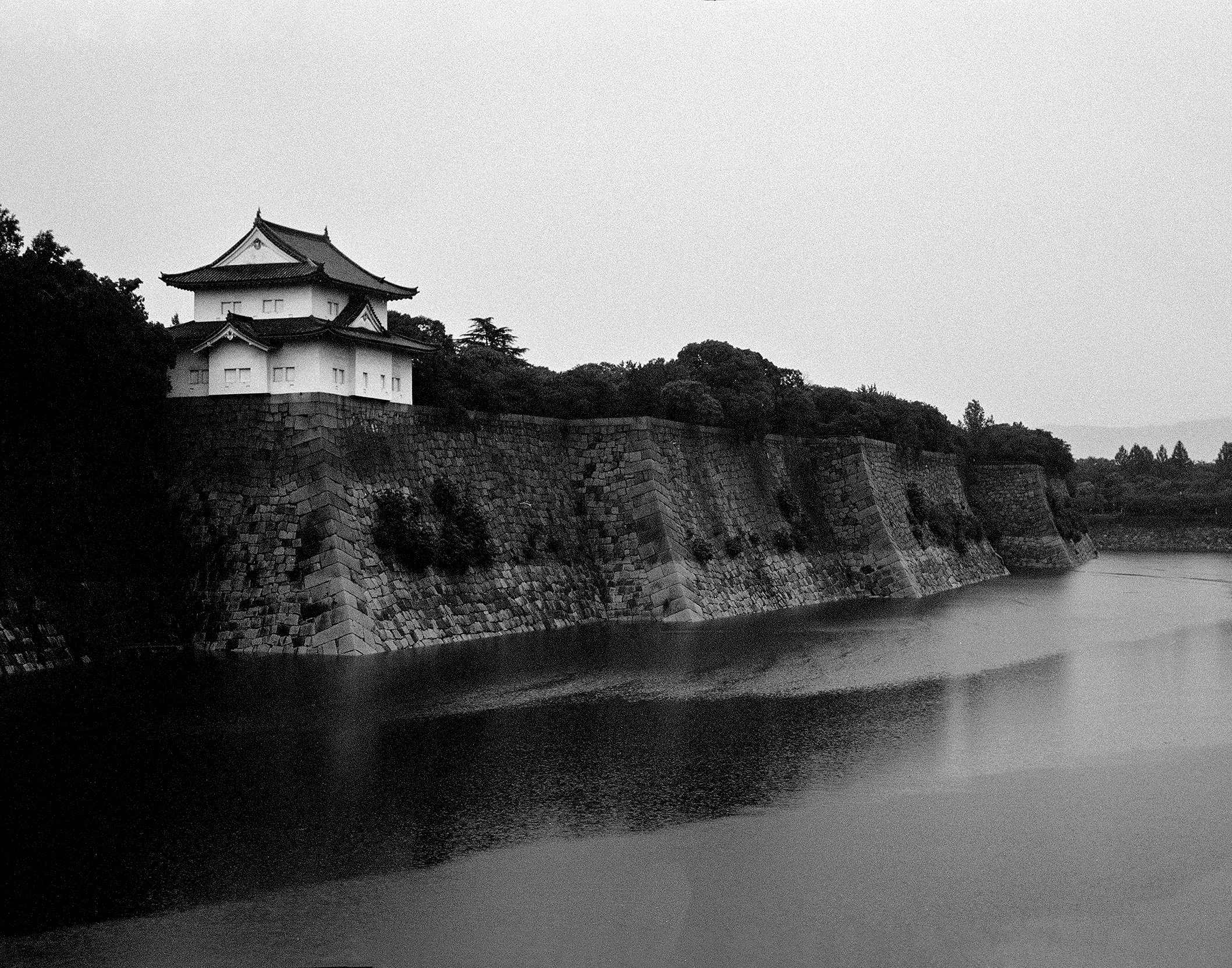 Historic Japanese castle with distinctive curved roof and turret perched on massive stone walls above moat
