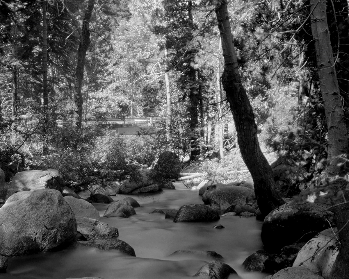 Forest stream surrounded by boulders and tall trees with soft ghostly quality and ethereal atmosphere