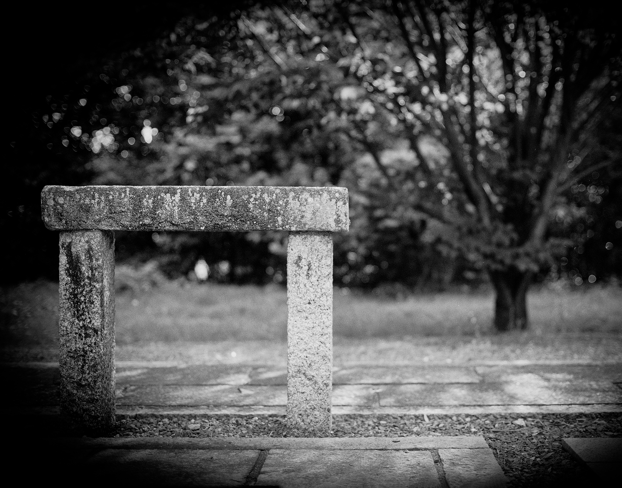 Stone garden seat or bench with soft bokeh foliage and trees in dreamy background light