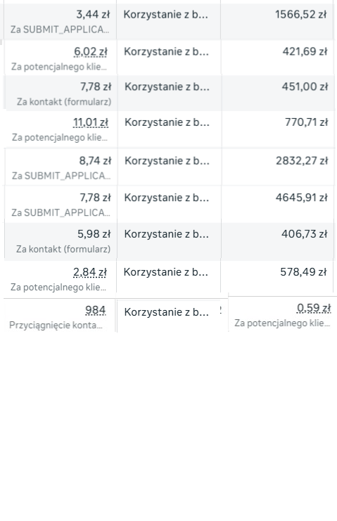 Wyniki kampanii Facebook Ads — lista kosztów za wynik od 2,84 zł do 11,01 zł