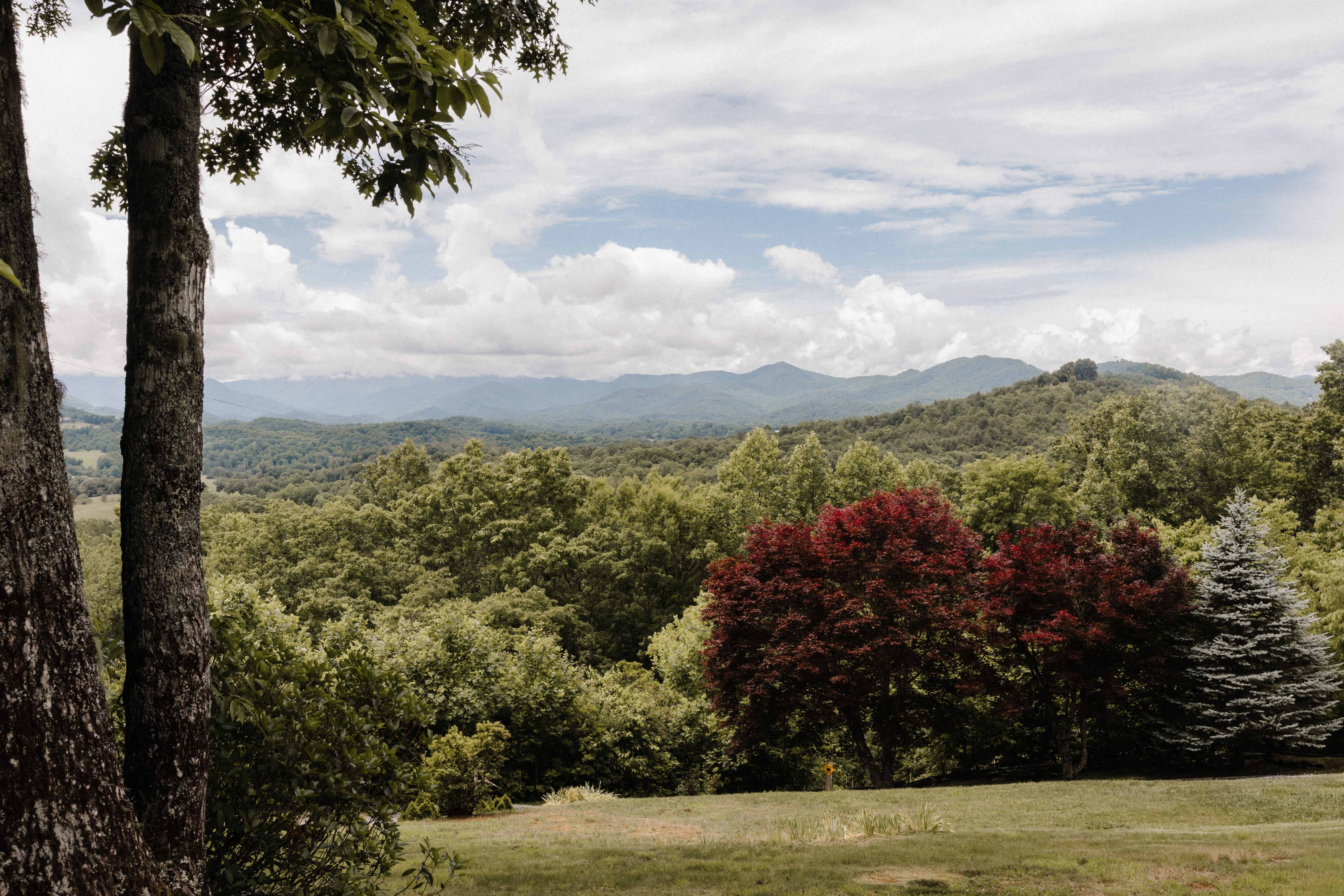 Blue Ridge mountain vista with green trees and red maple