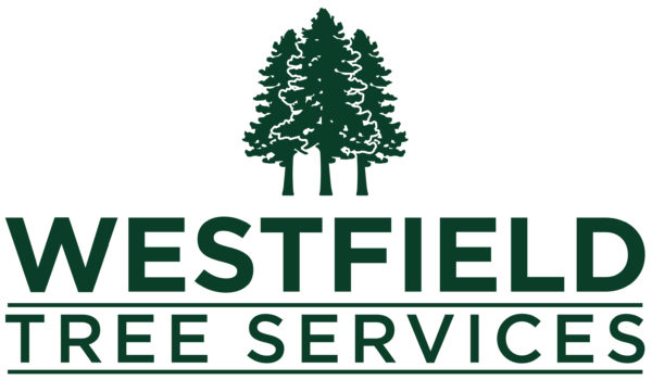 Westfield Tree Services