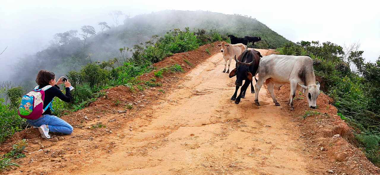 Trabajo de campo documentando ganado en zona rural