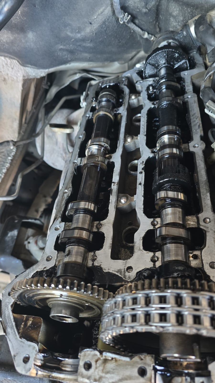 Engine Timing Components - Detailed view of timing mechanism