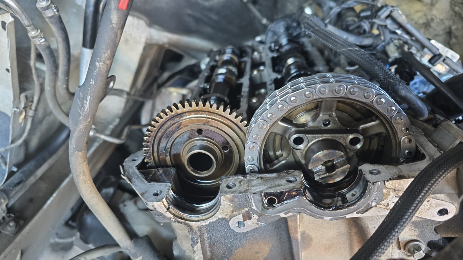 Timing Chain and Gears - Close-up of timing chain mechanism