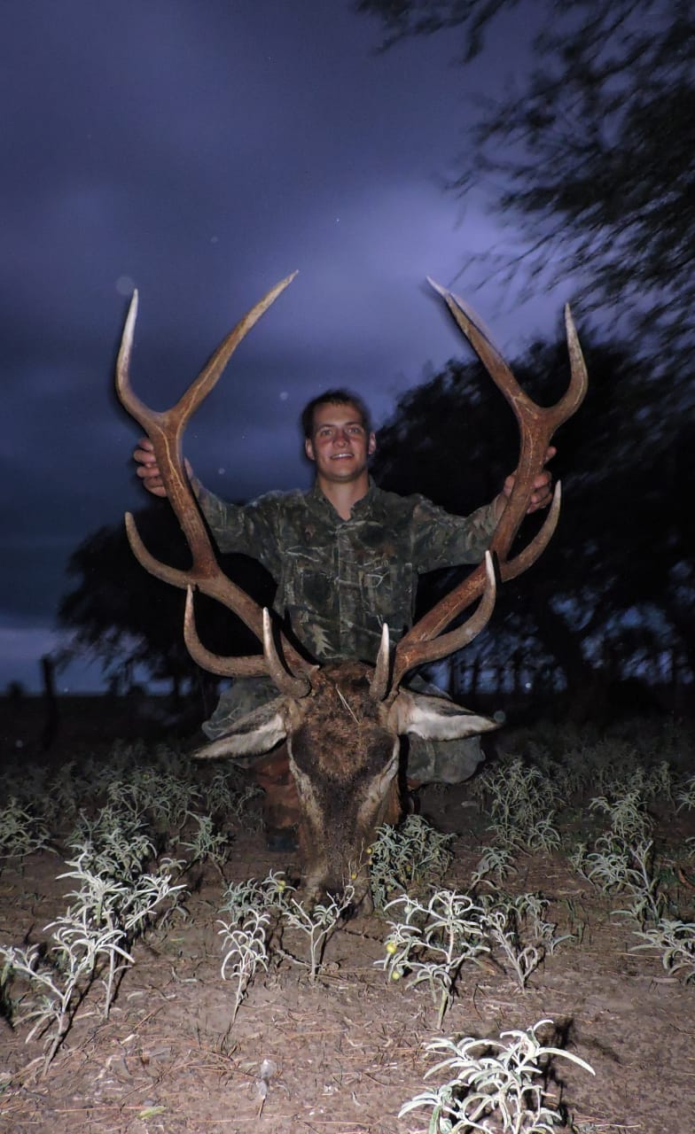 Night hunt success at Valle Daza - Trophy red deer in dramatic evening light