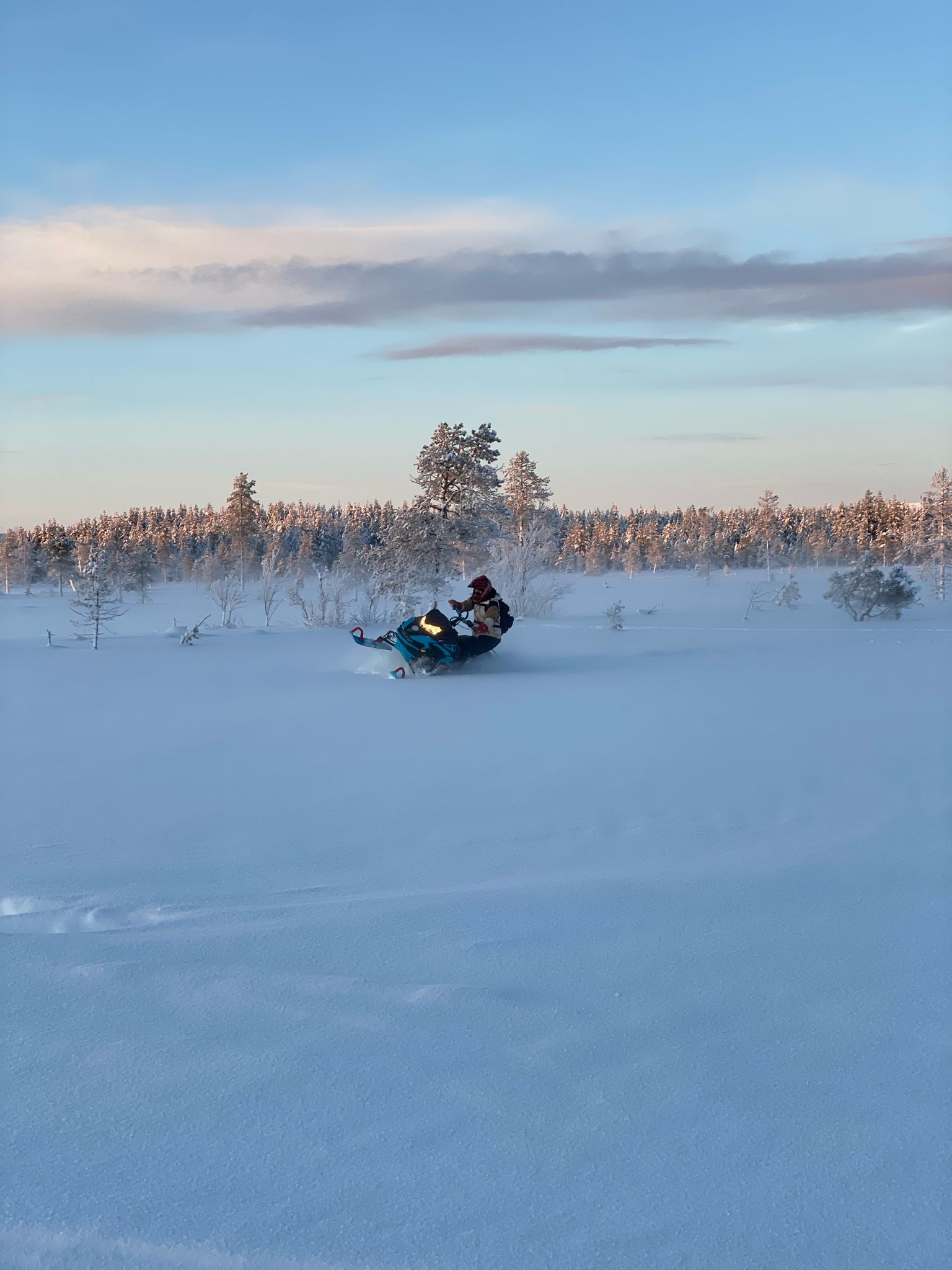 Snowmobile riding through powder snow in beautiful evening light