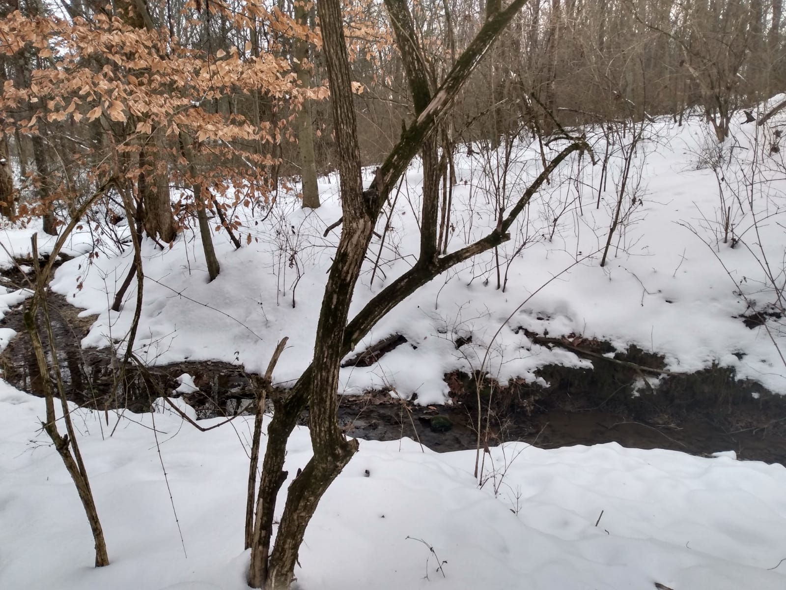 Scenic winter landscape