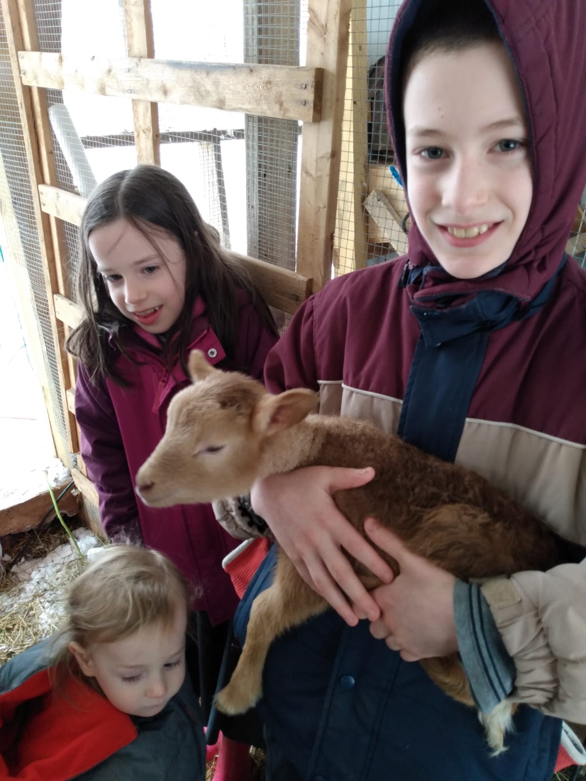 Children with young lamb