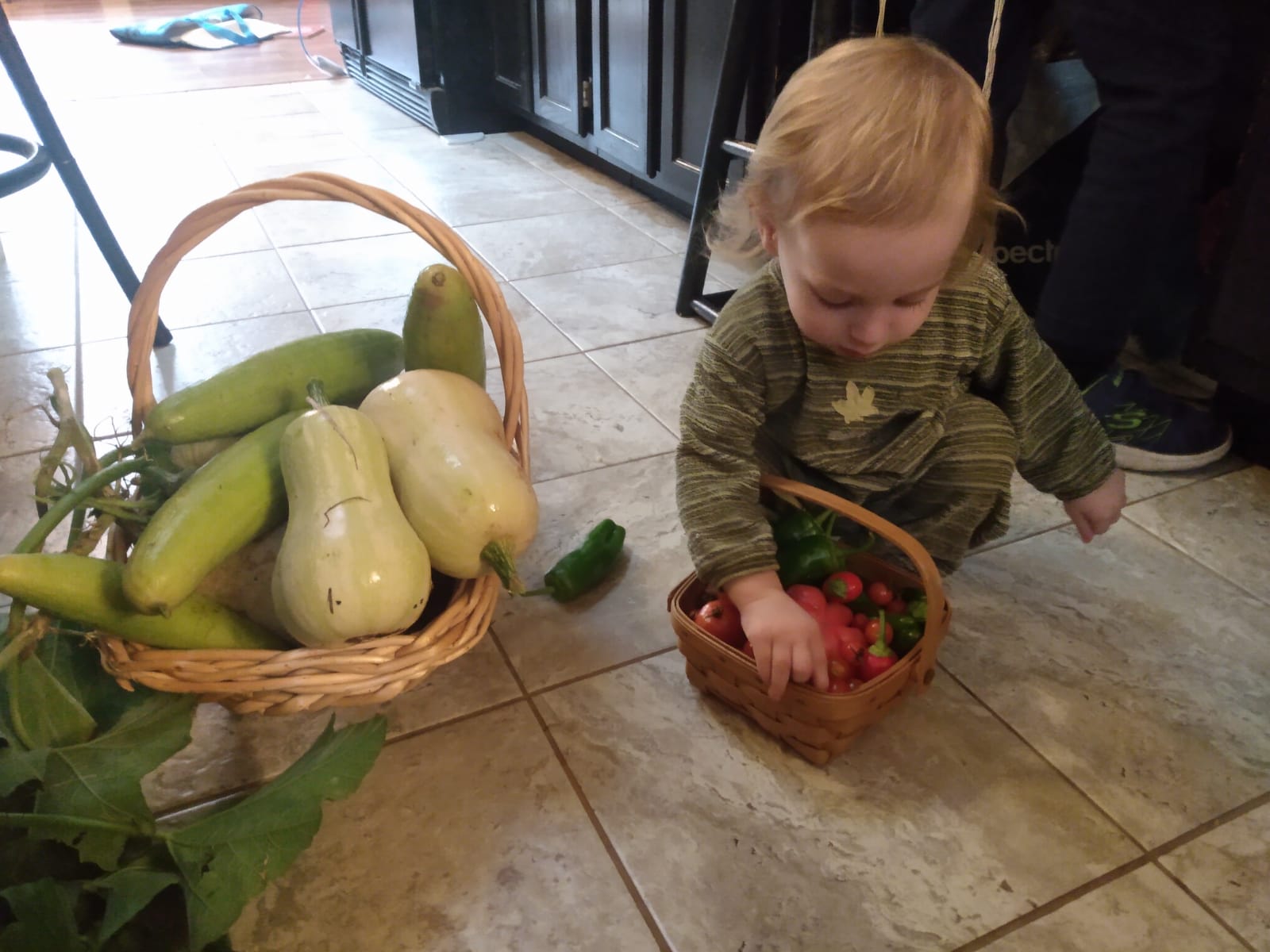 Child with harvest baskets