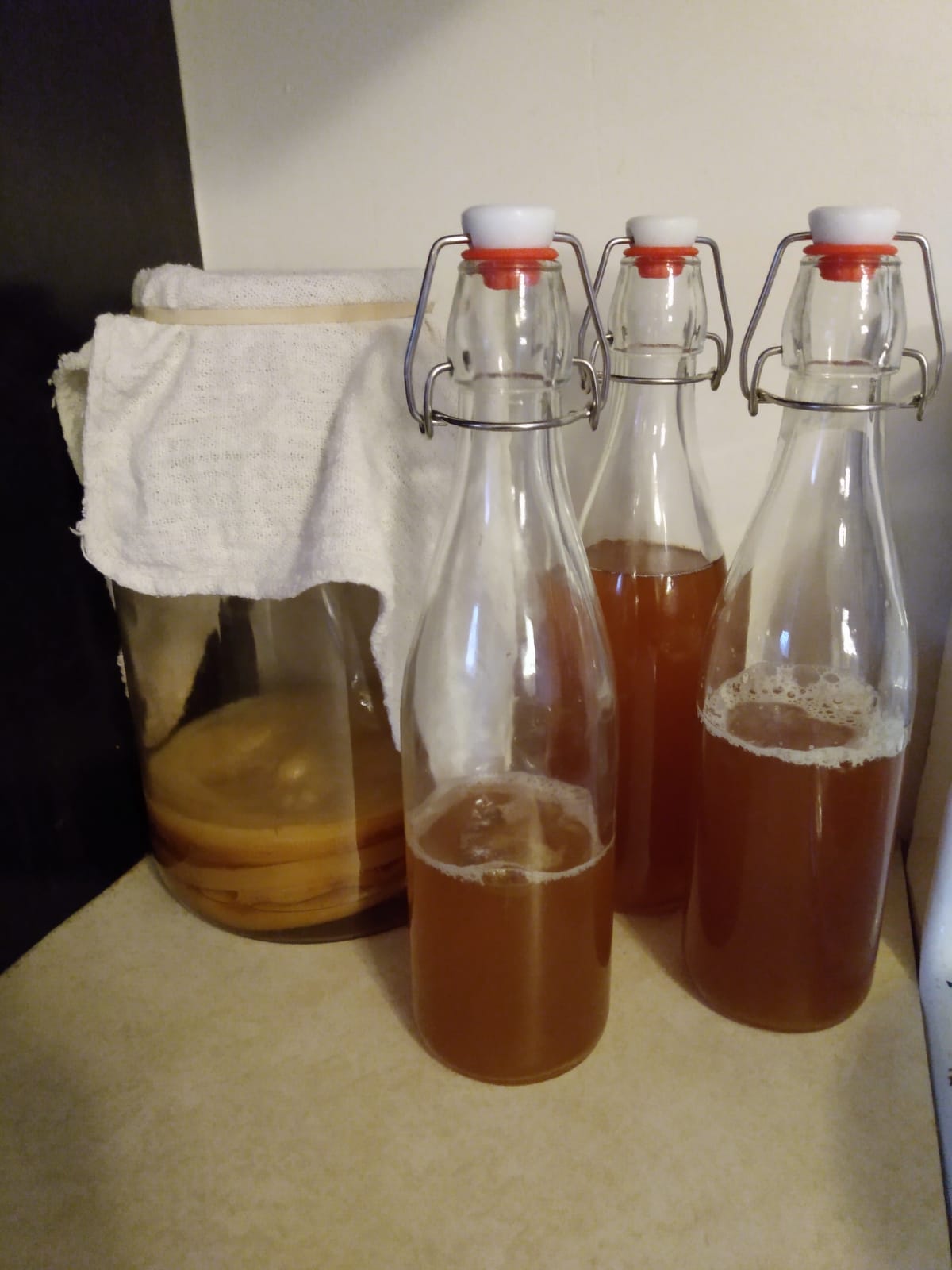 Homemade fermentation