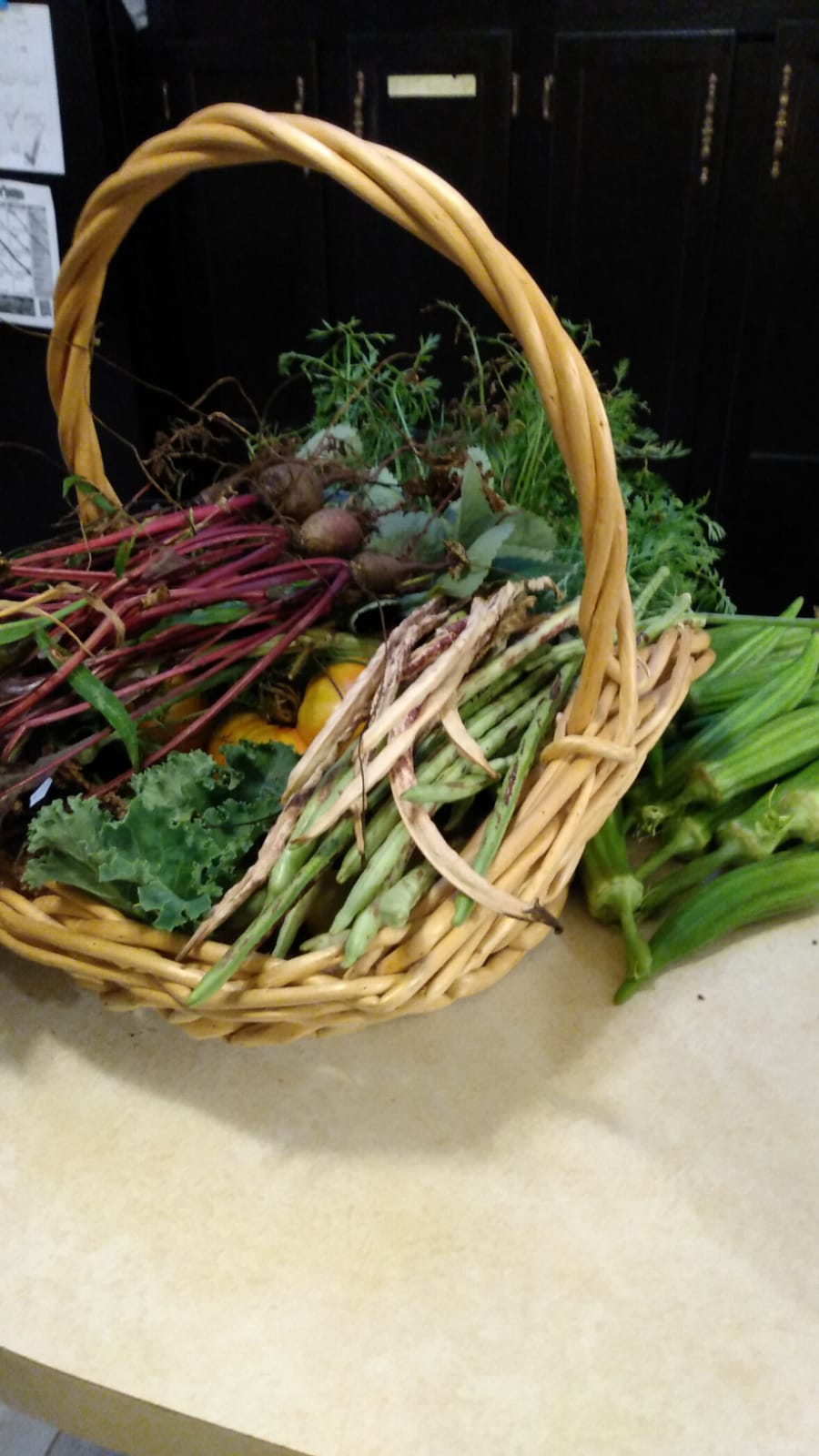 Fresh garden harvest