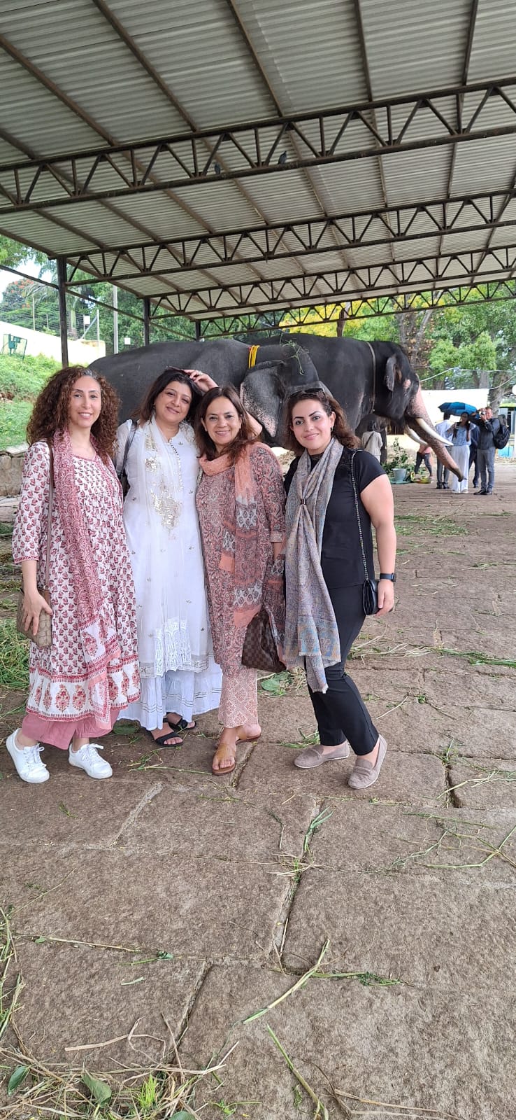 Group photo with elephant during cultural visit