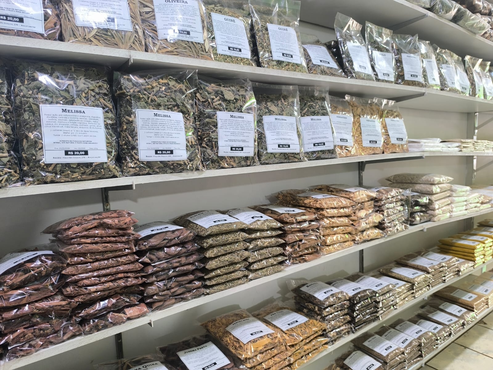 Variedade de ervas medicinais na Raizes