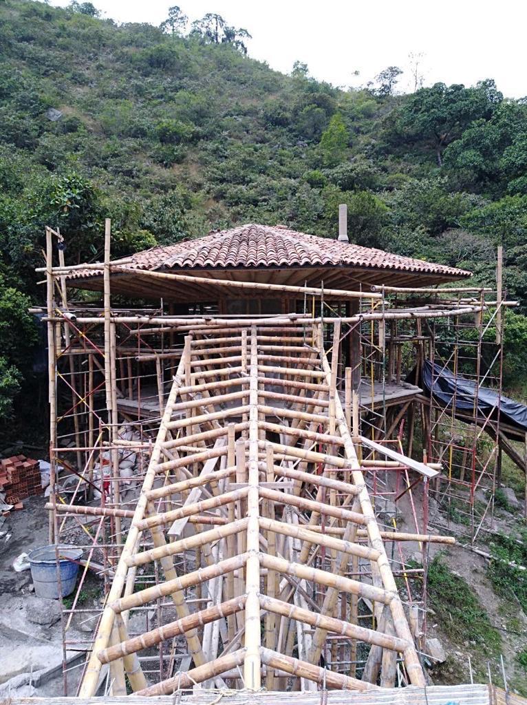Plante a Sua Própria Casa - 3