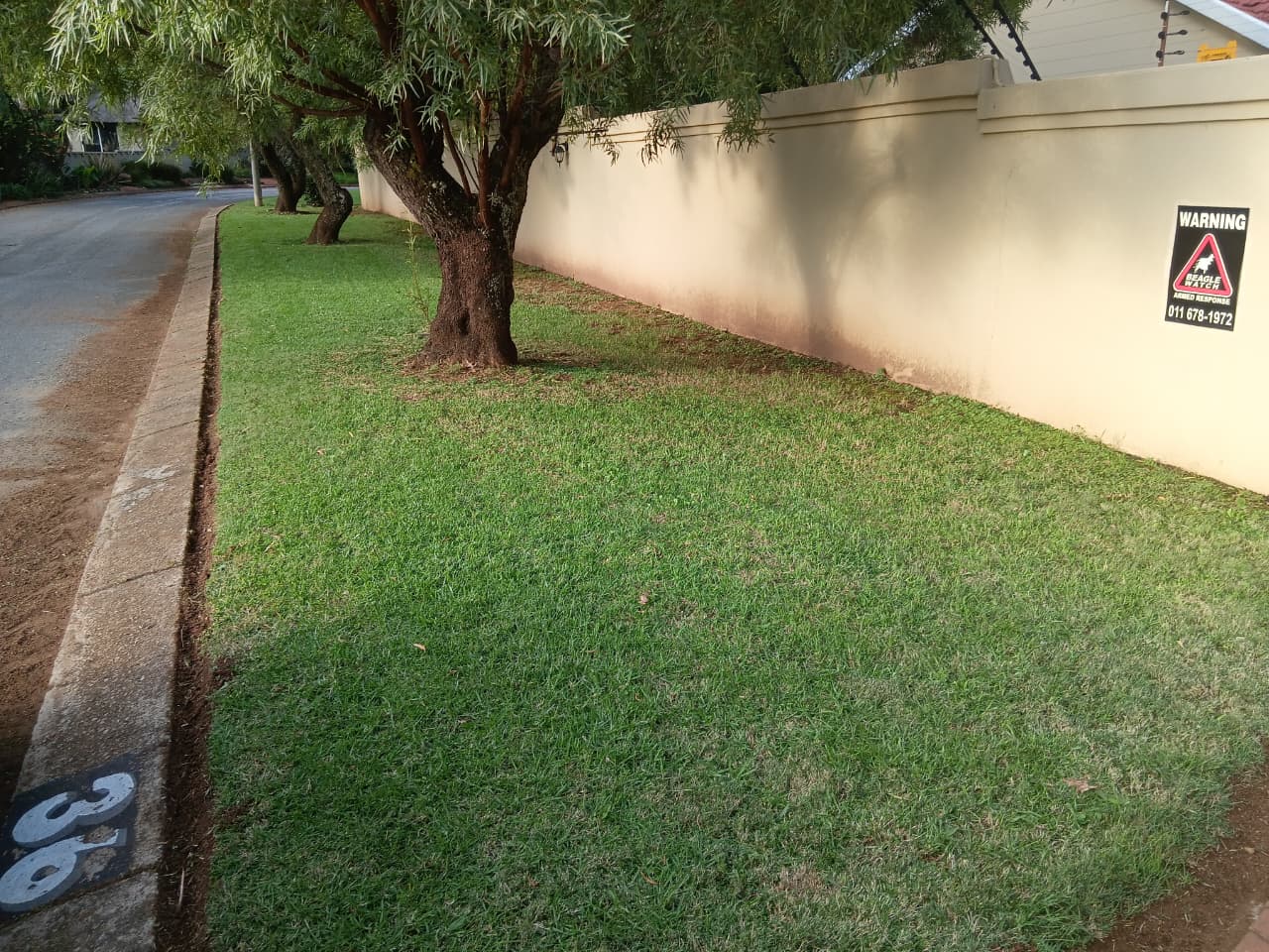 Neatly edged and mowed pavement lawn along a residential wall
