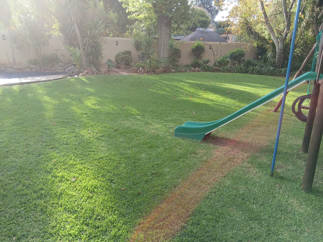 Lush maintained backyard lawn