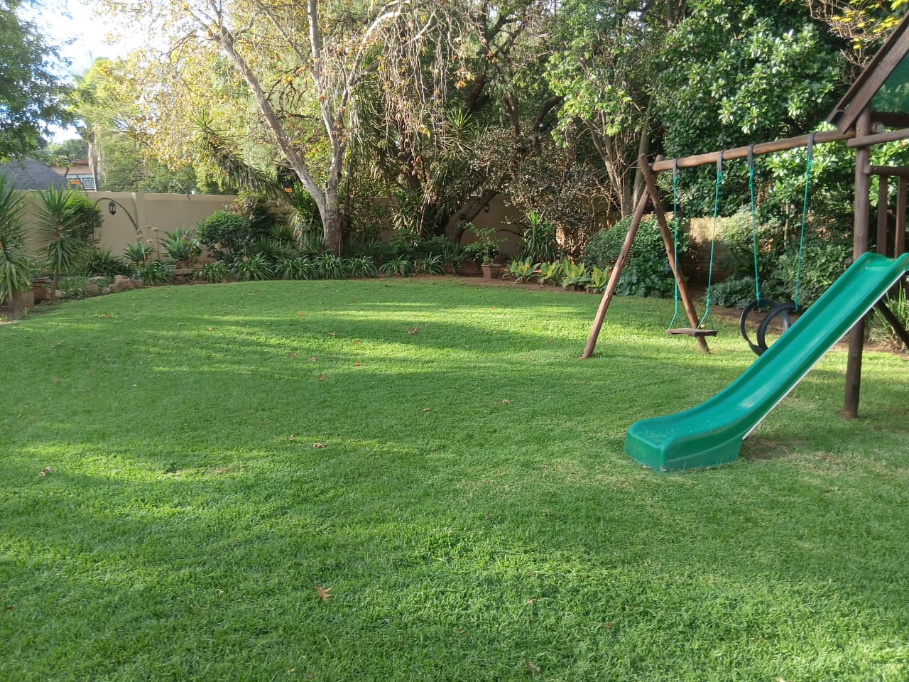 Wide green backyard lawn