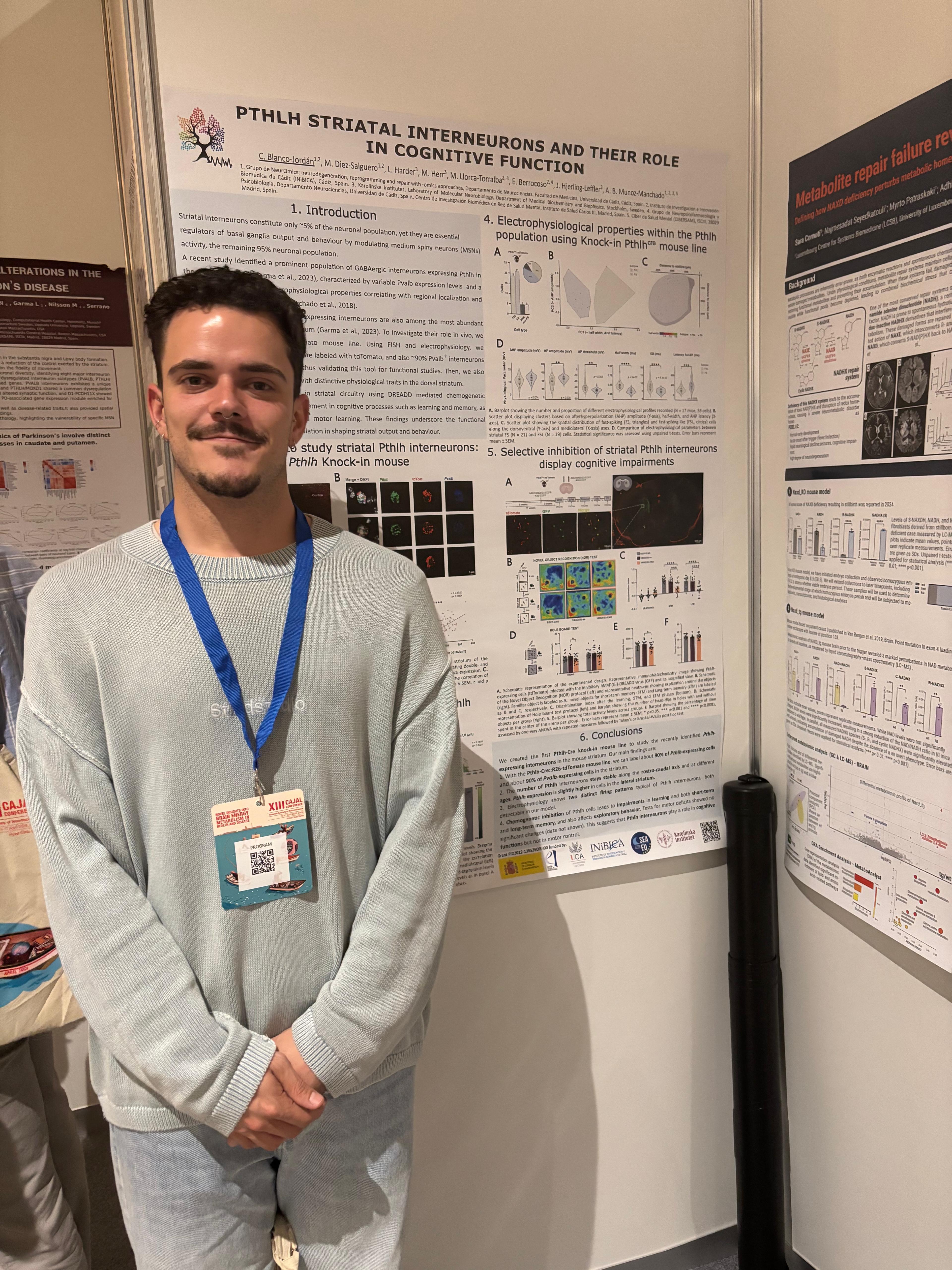 Lab member presenting poster on PTHLH striatal interneurons and their role in cognitive function