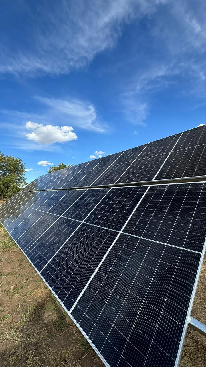 Paneles solares en terreno abierto con cielo azul