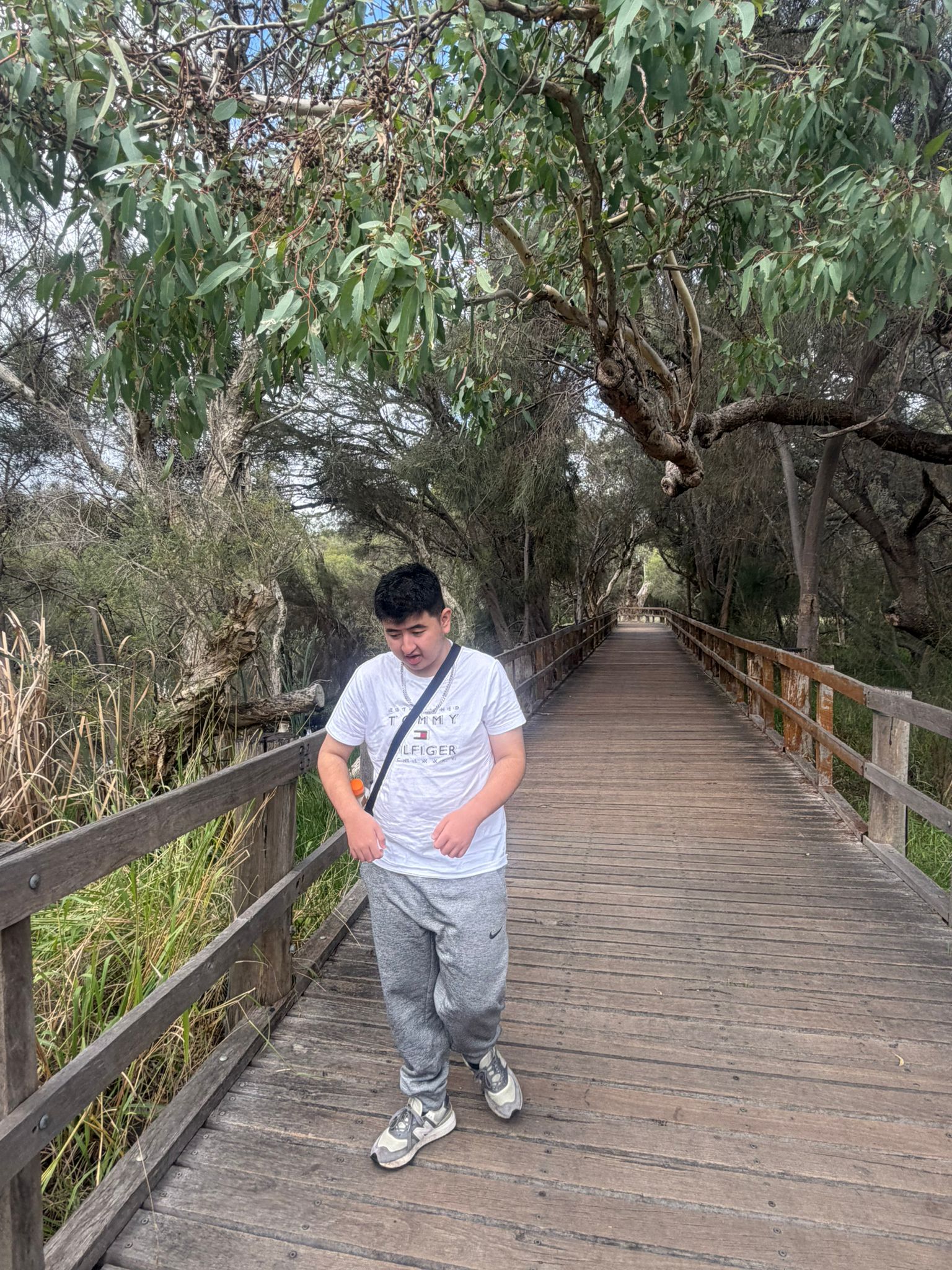 Participant enjoying a nature walk on a scenic boardwalk surrounded by trees