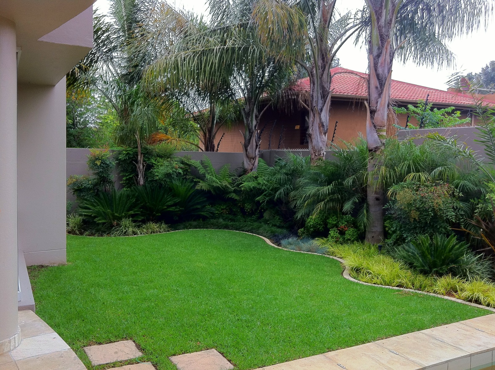 Mature Tropical Garden