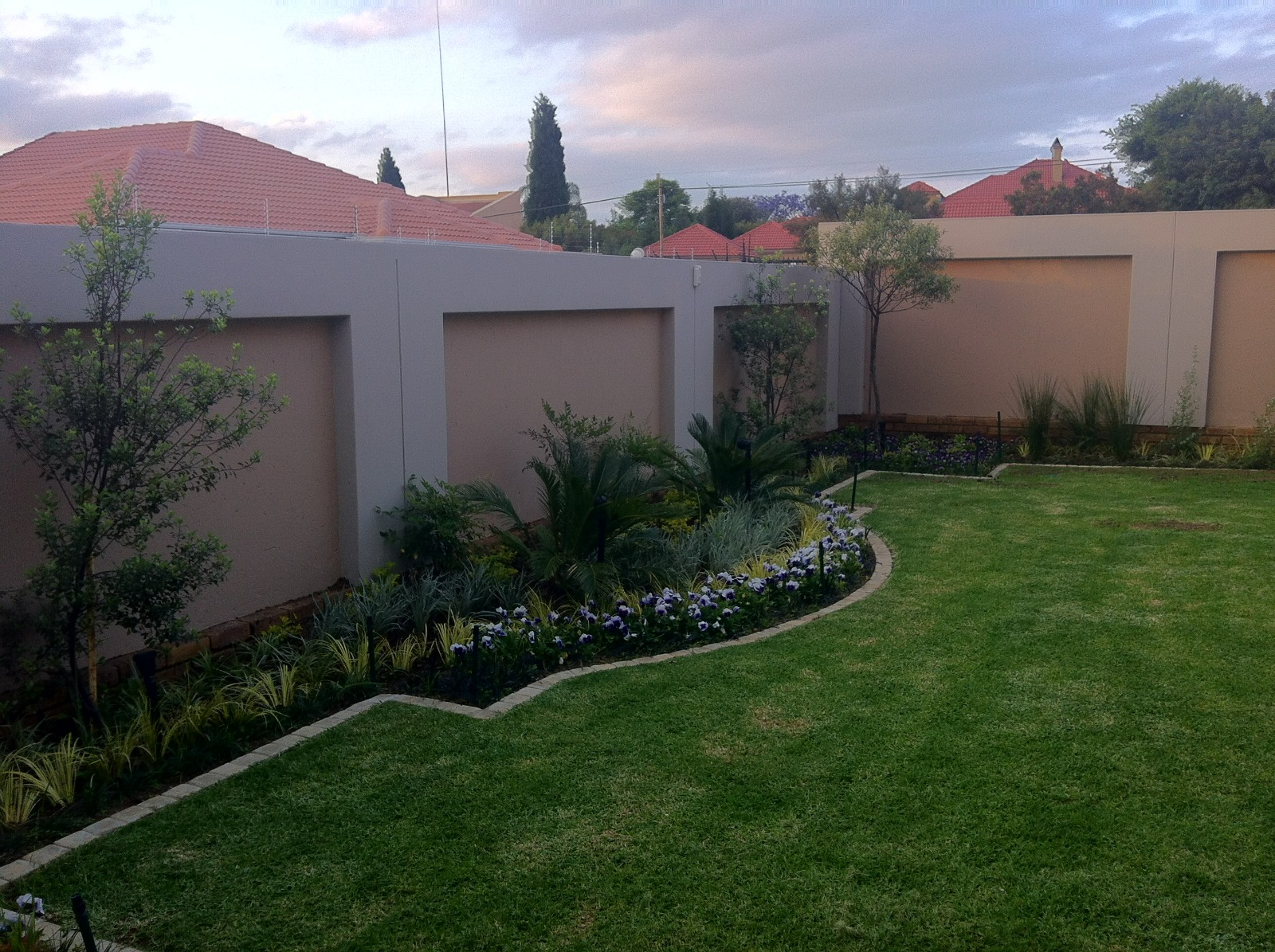 Evening Garden Border