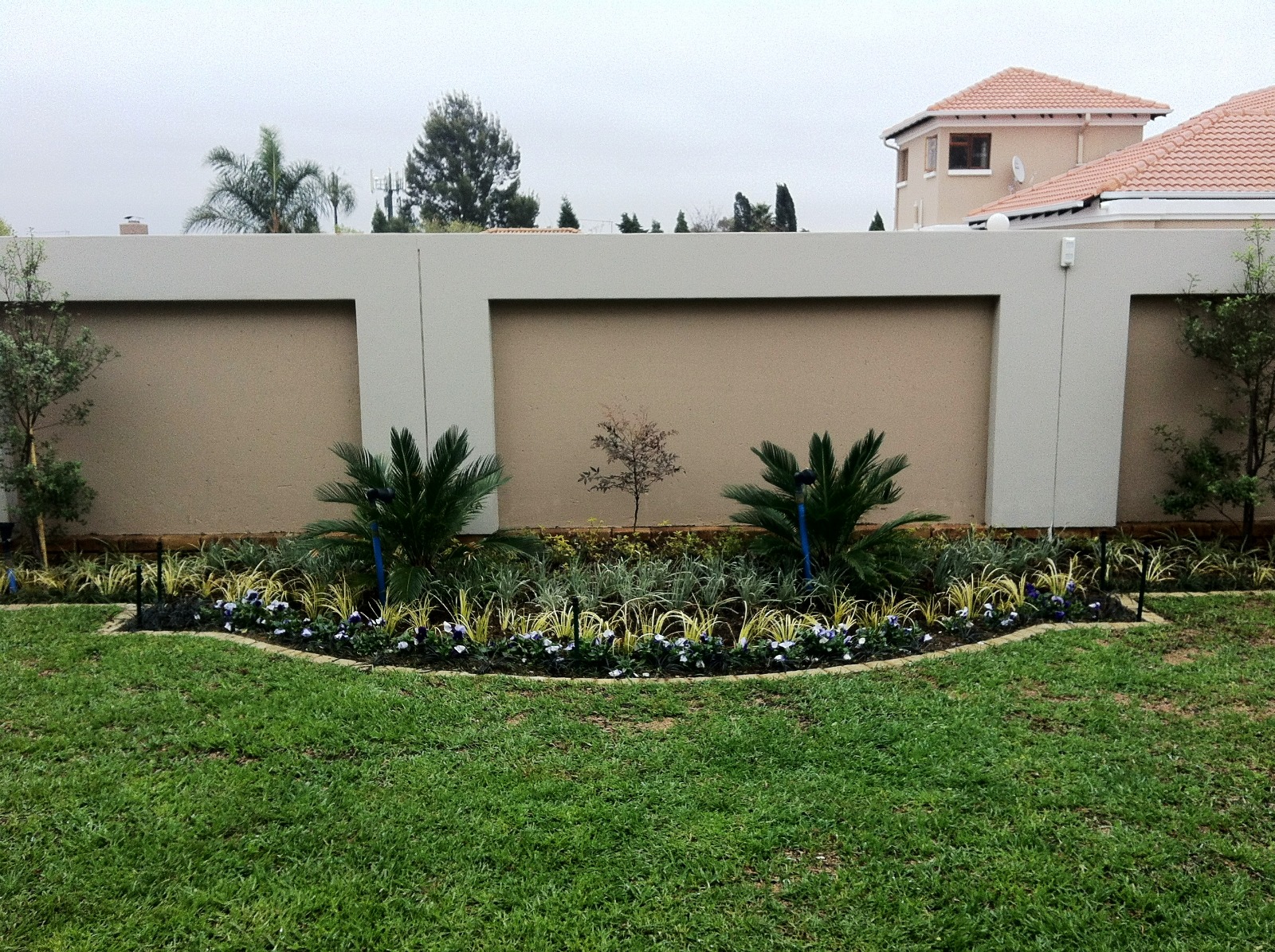Cycad Feature Bed