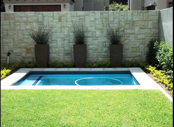 Modern Plunge Pool
