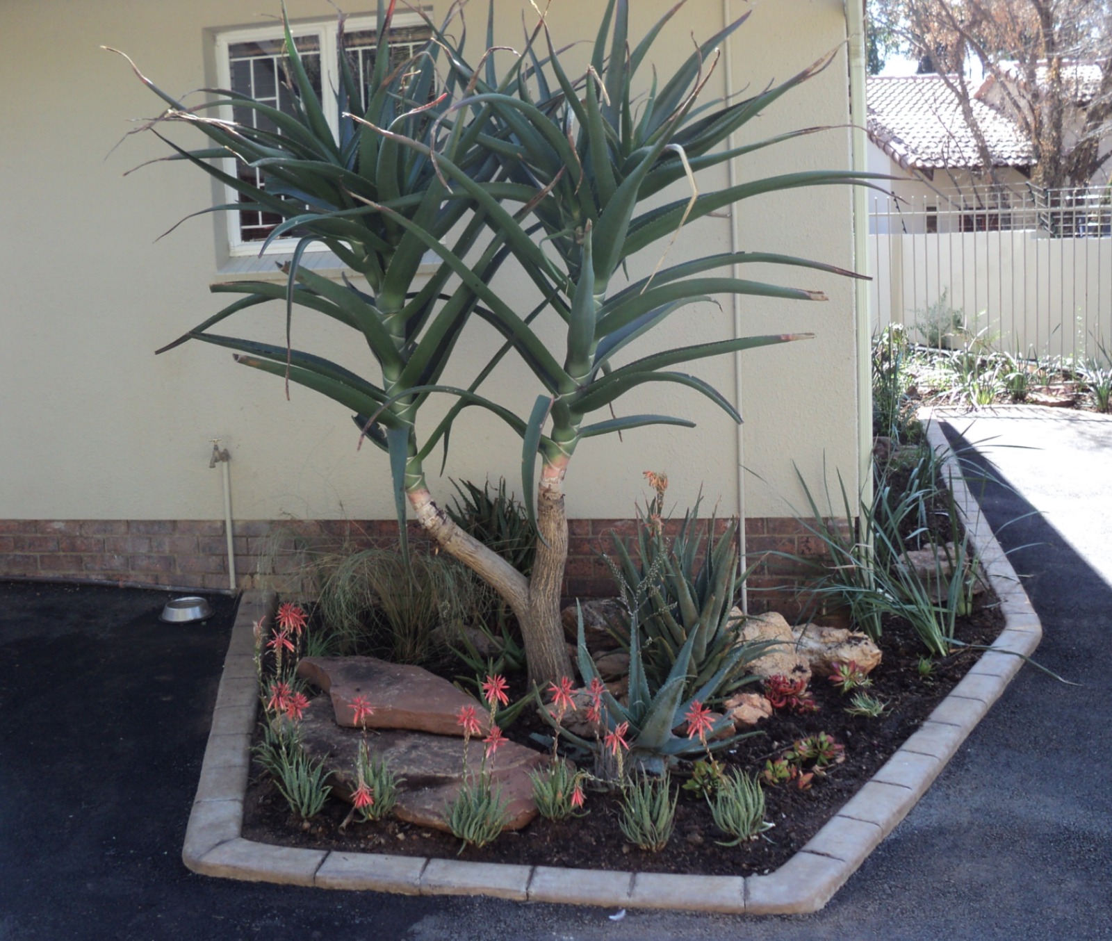 Poolside Water Feature