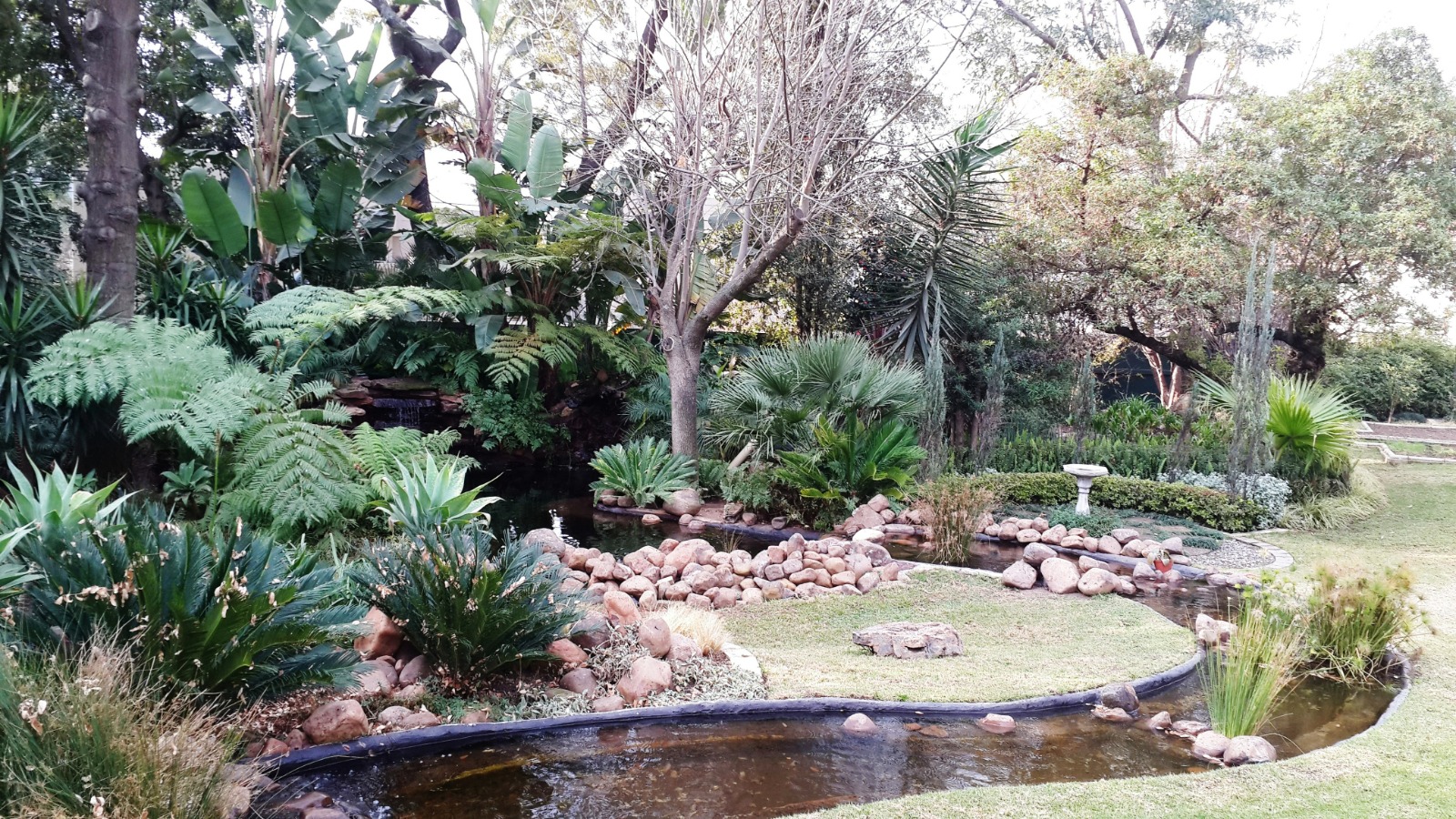 Water Garden Paradise