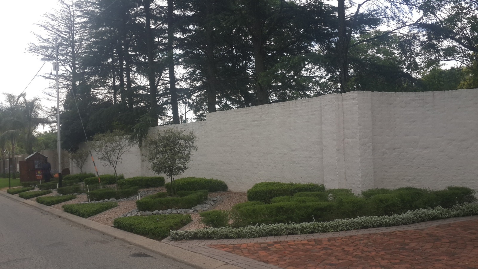 Low-Maintenance Hedge Design