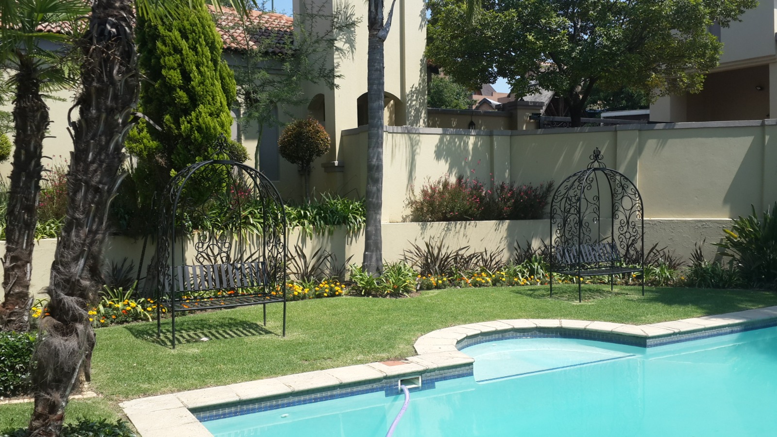 Garden Pool Oasis