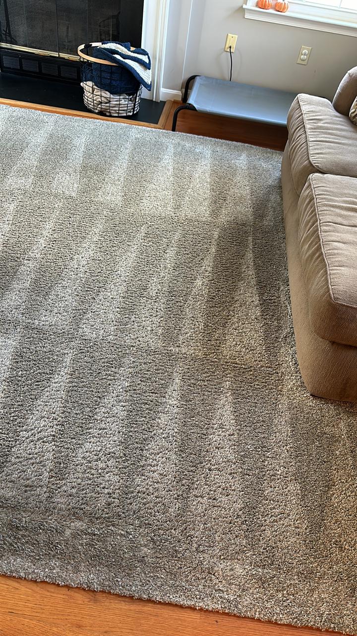 Freshly cleaned carpet with visible vacuum lines