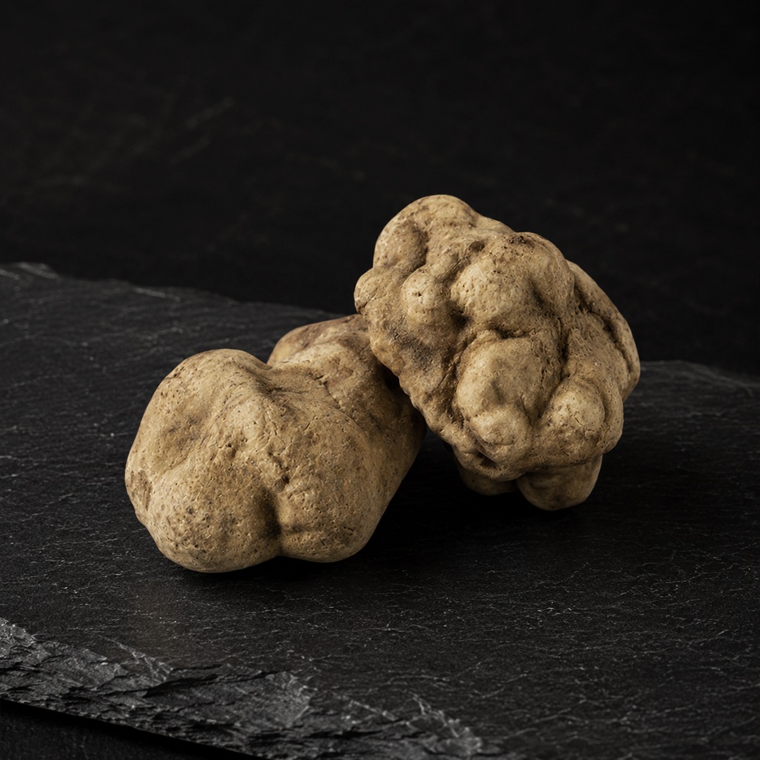 Two white truffles on dark slate