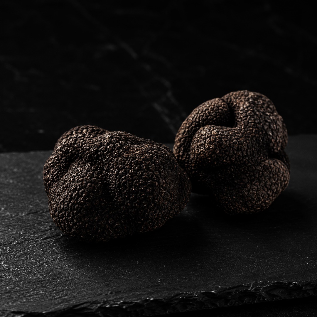 Two black truffles on dark slate