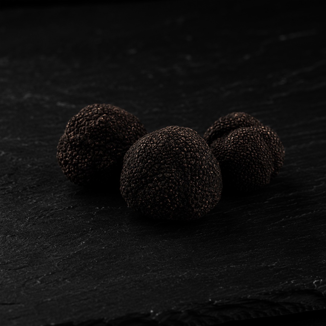 Three small black summer truffles on dark slate