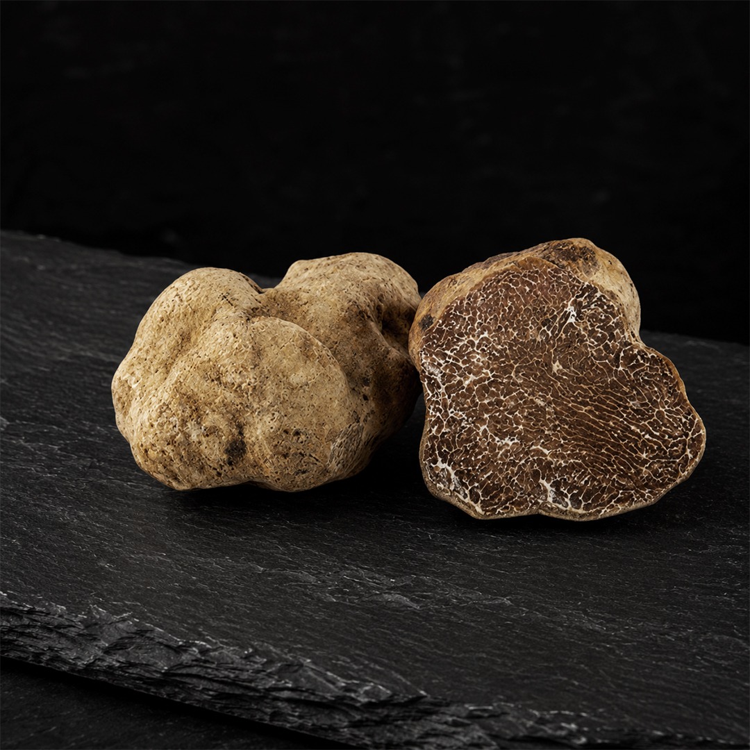 White truffle and cross-section on dark slate