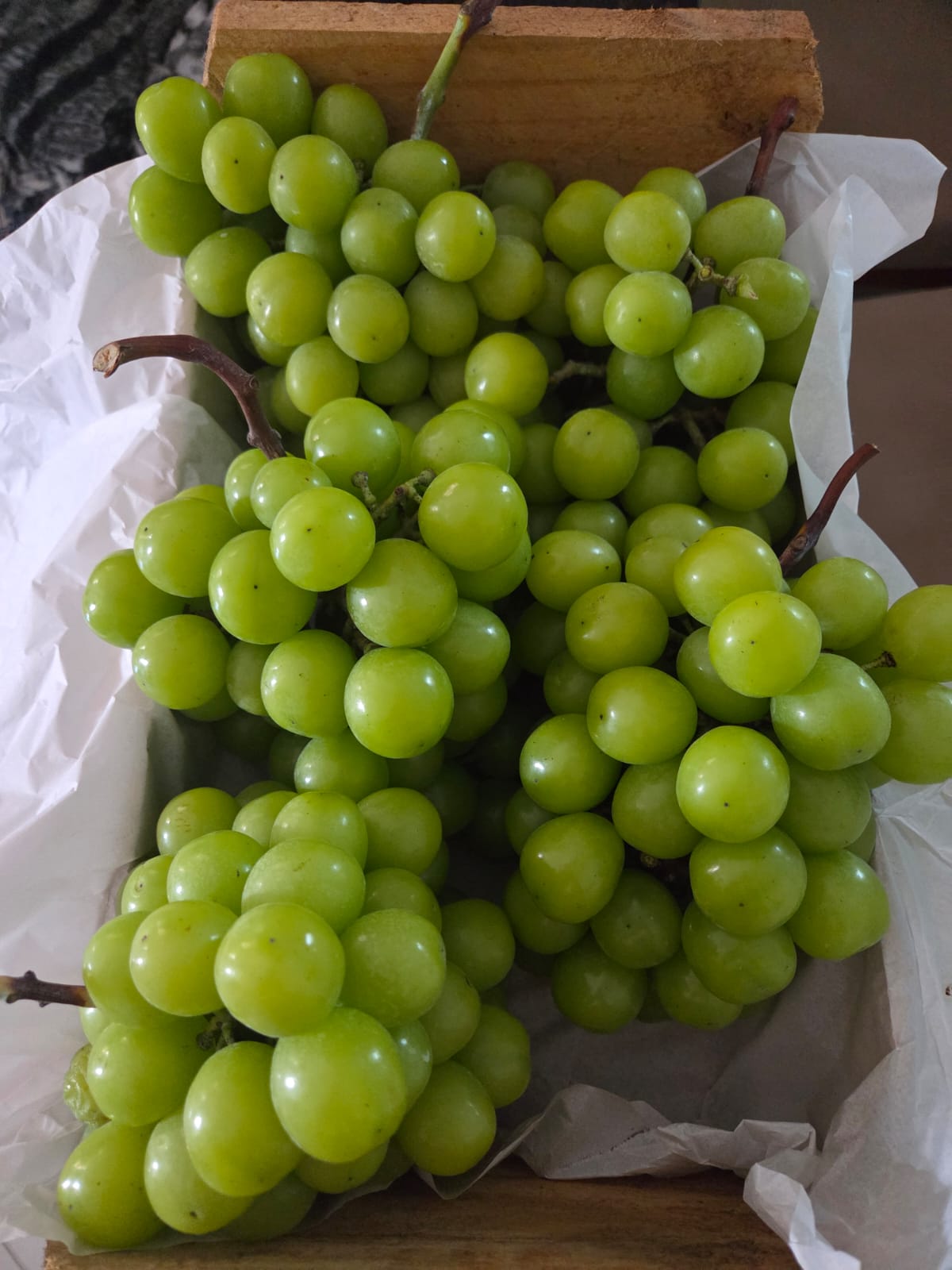 Uva Pilar Moscato