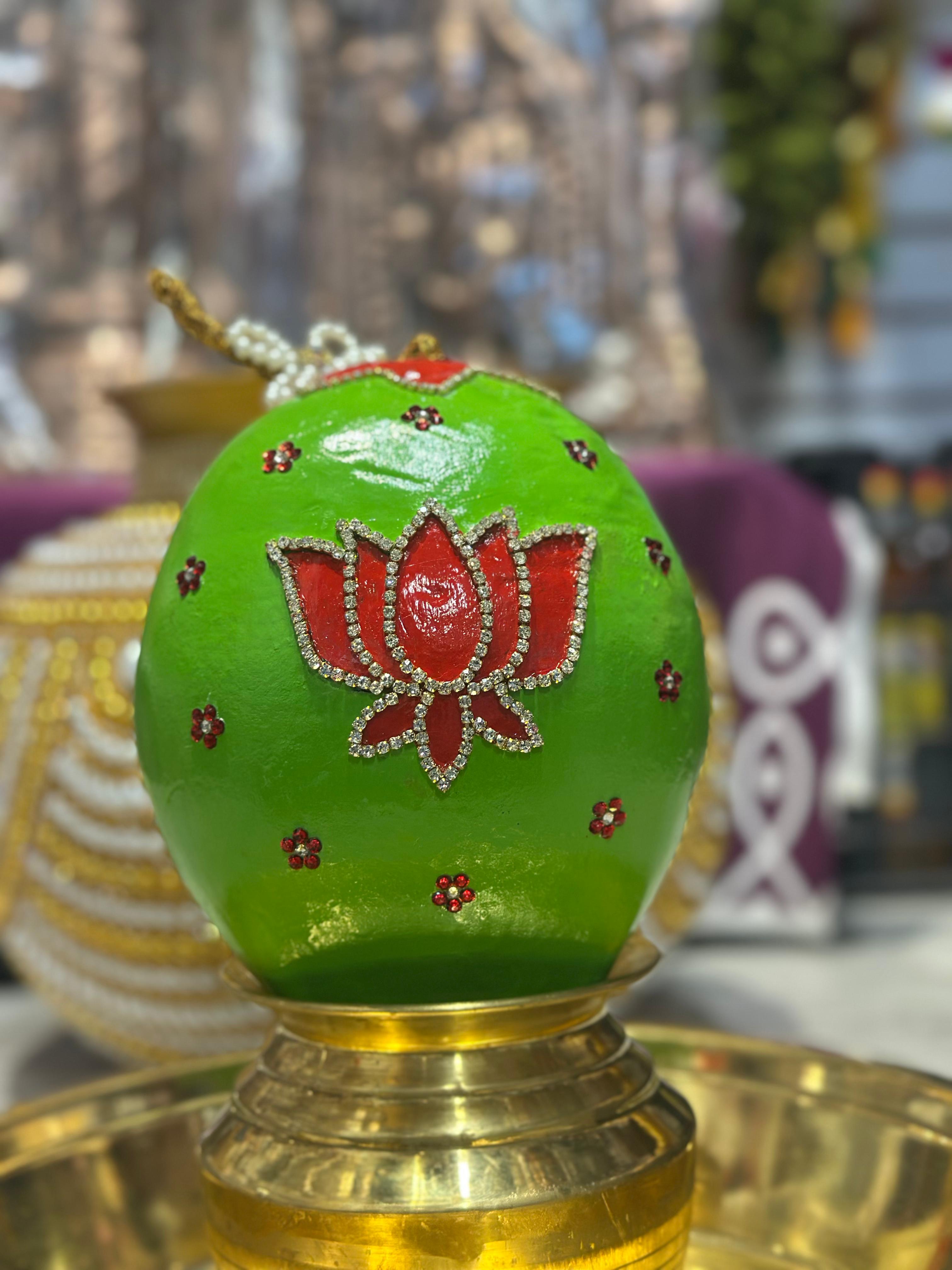 DecorativeCoconut_009 - Image 1