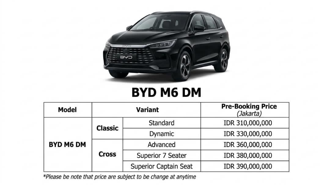 BYD M6 DM