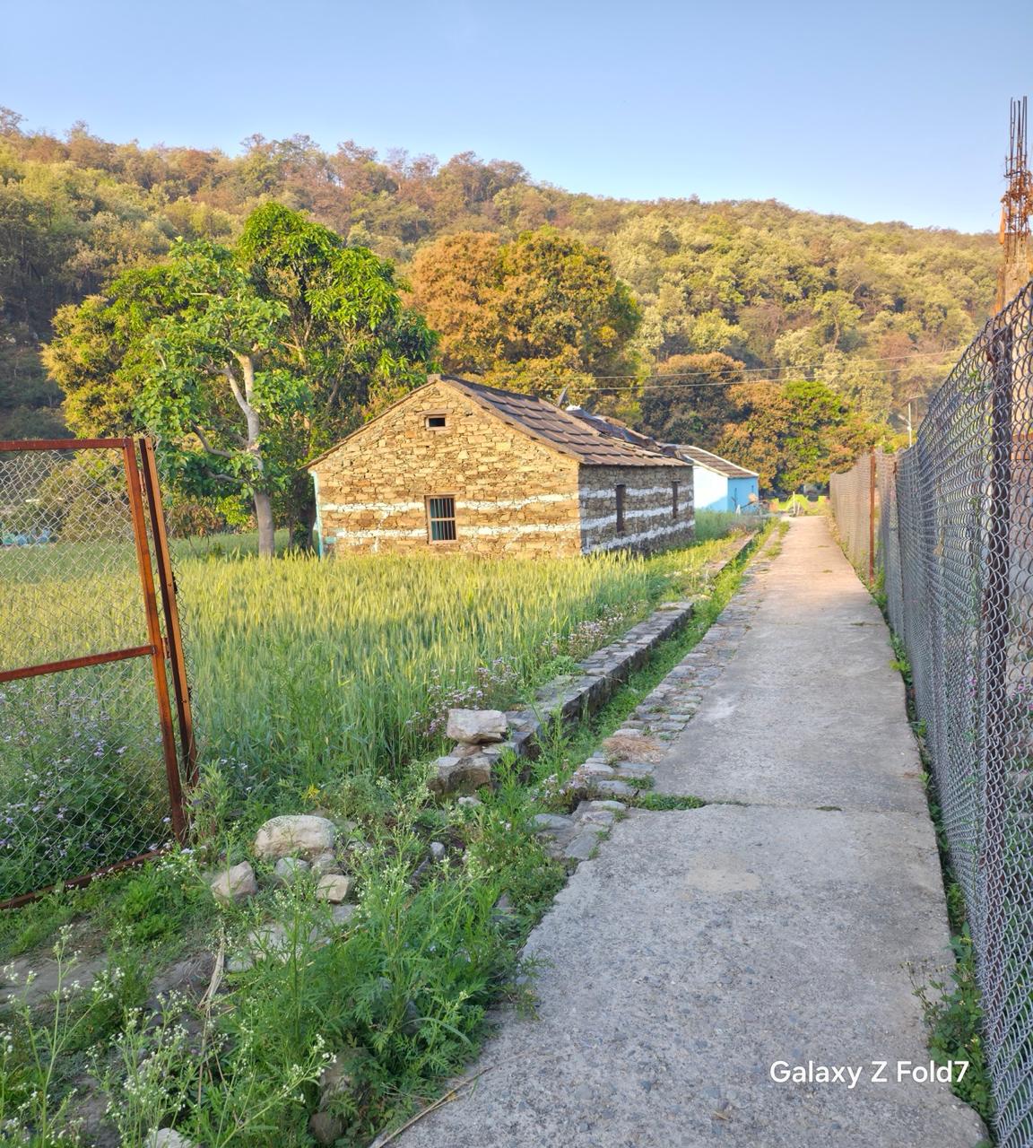 Heritage stone cottage pathway at Heaven River Retreat in Jim Corbett, Uttarakhand, surrounded by natural landscape
