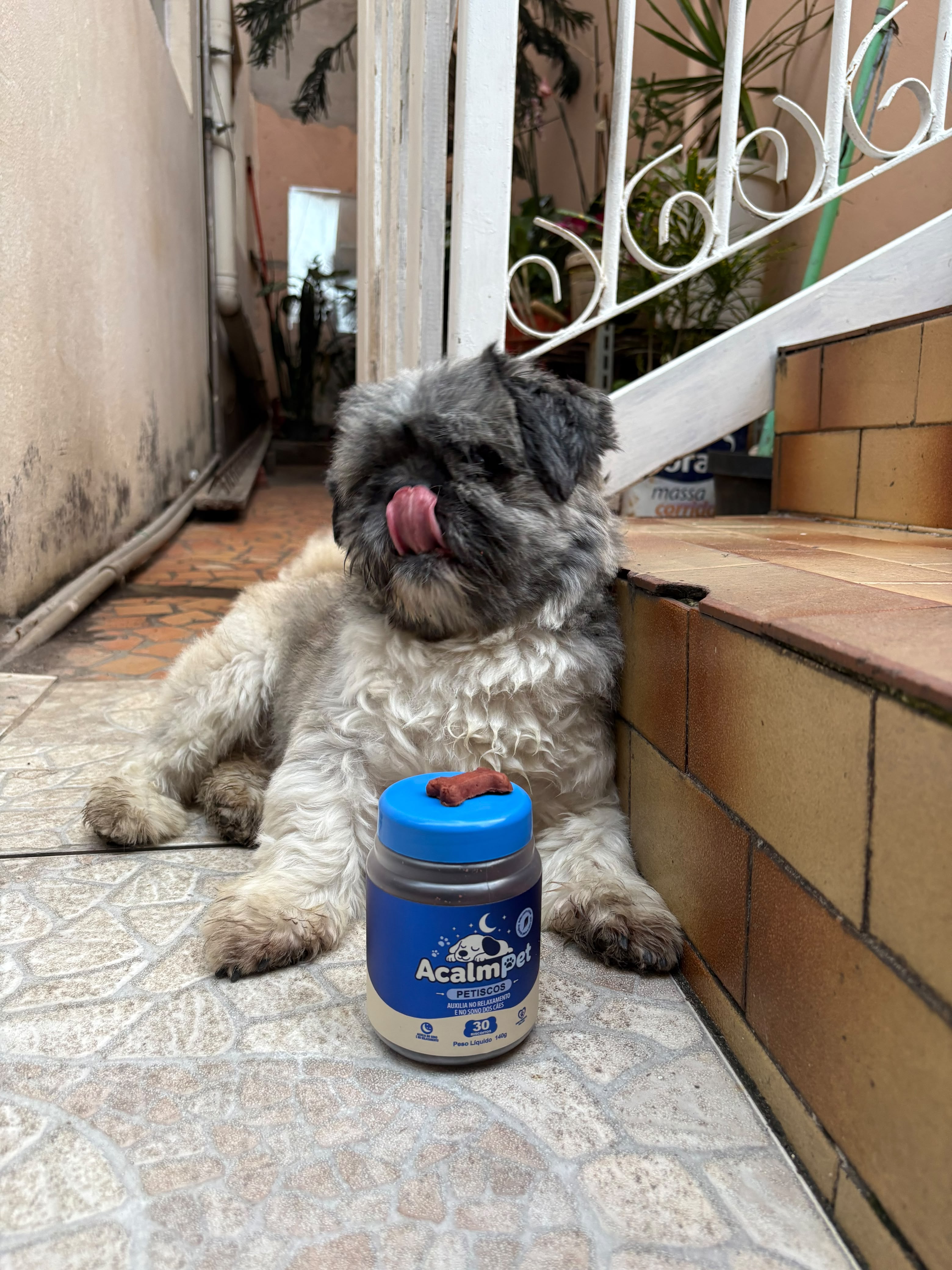 Cão lambendo o focinho ao lado do pote AcalmPet com um petisco em cima
