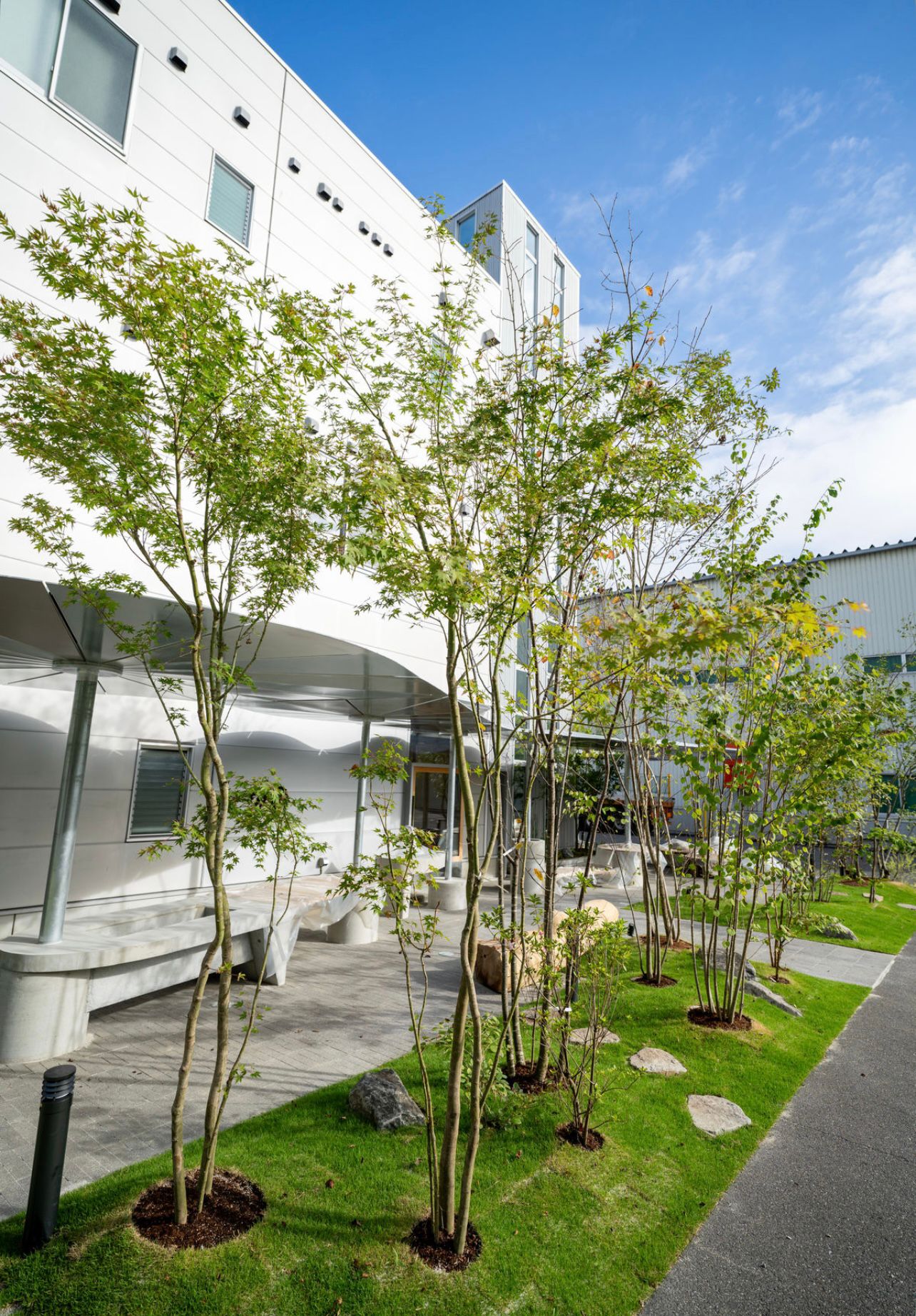 造園工事 施工事例