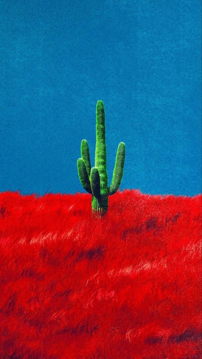 Single green saguaro cactus rising from a vivid blazing red grass field against a flat deep cobalt blue sky