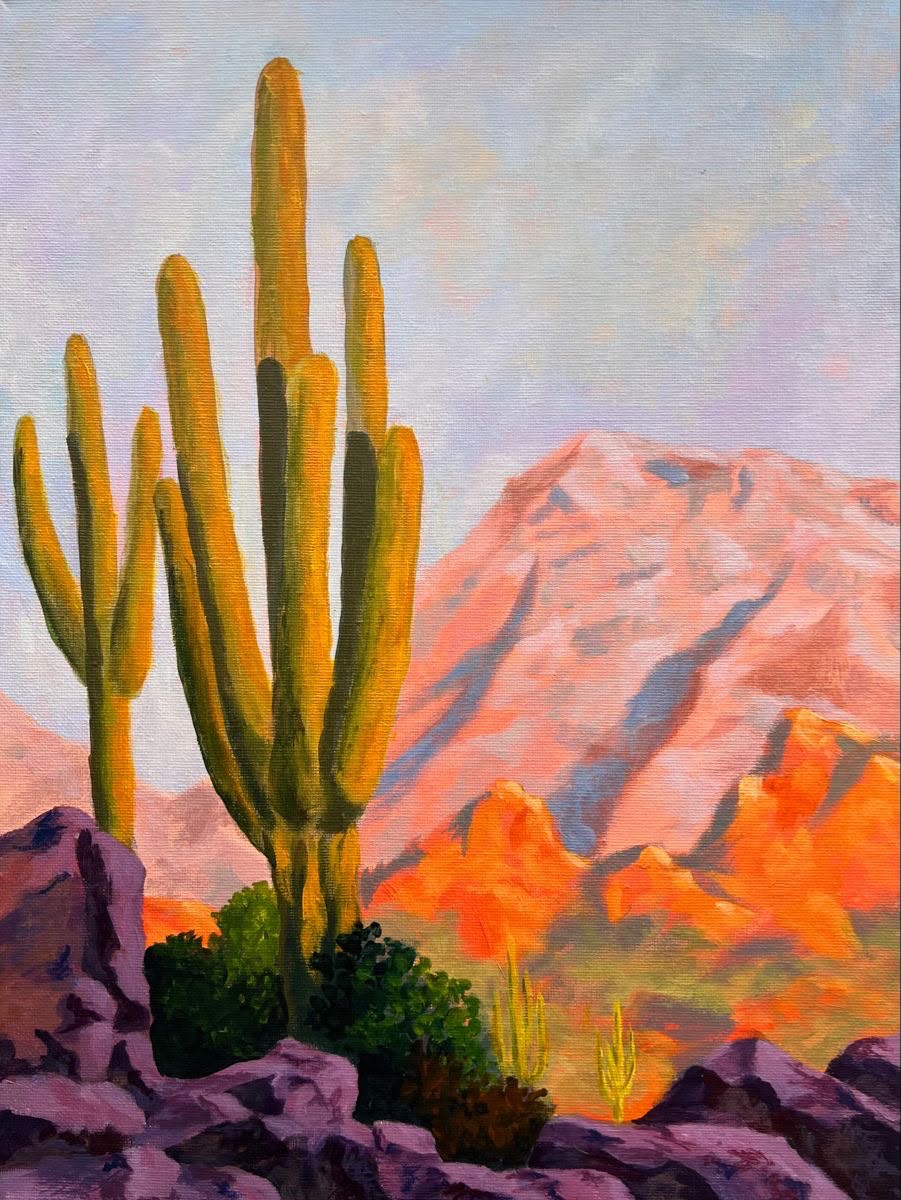 Golden cardón cactus cluster against a glowing orange-red mountain peak at sunset with purple rocks in foreground