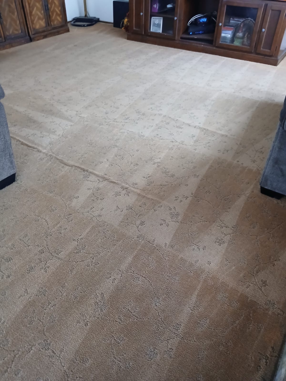 Large living room with freshly cleaned tan patterned carpet